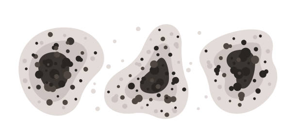 Best Air Quality Testing for Mold Spores  in Center Hill, FL