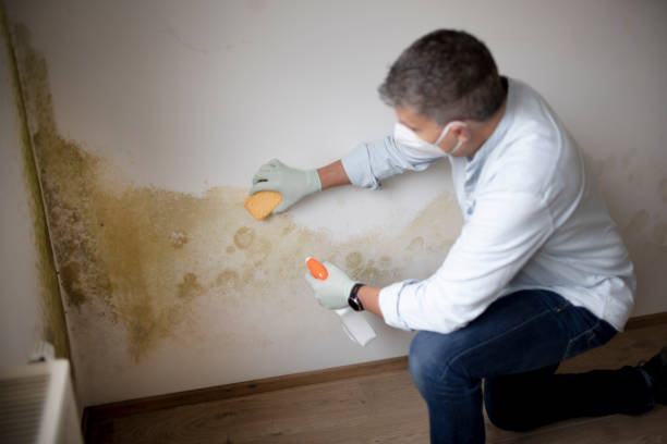Best HVAC Mold Inspection and Cleaning  in Center Hill, FL