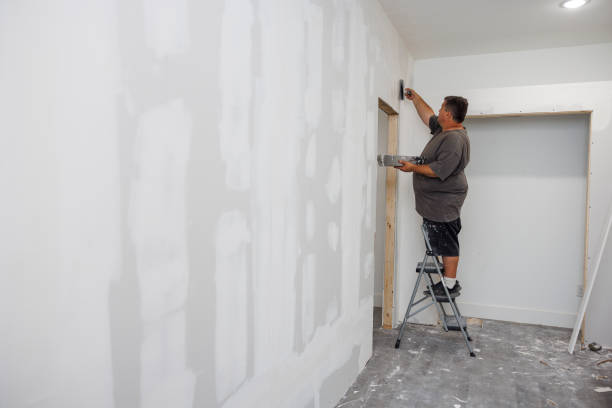 Best Emergency Mold Remediation  in Center Hill, FL