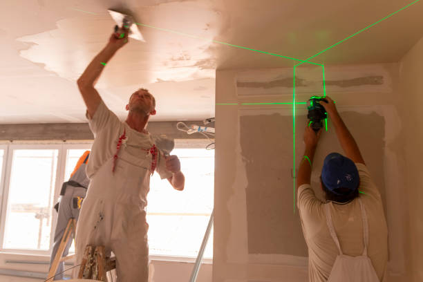 Best Post-Construction Mold Inspection  in Center Hill, FL