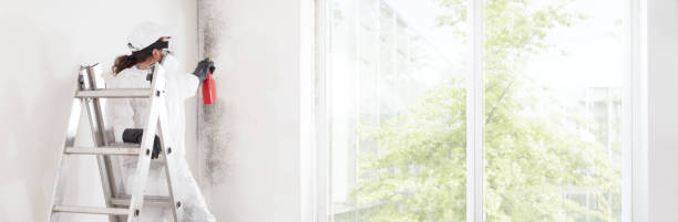 Best Mold Remediation for Healthcare Facilities  in Center Hill, FL
